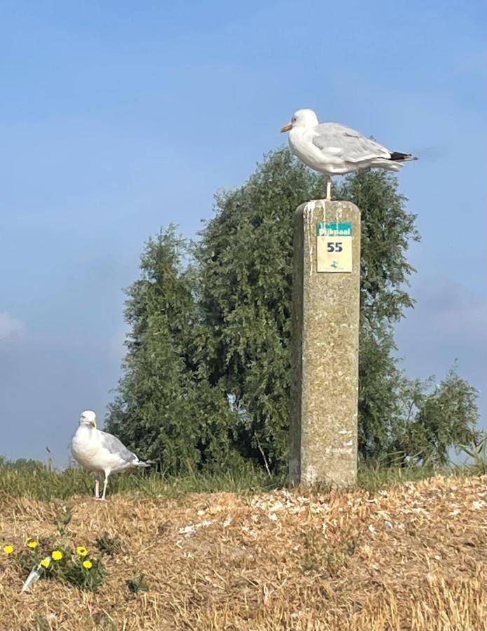 Vila Cote Jardin Serooskerke  Exteriér fotografie